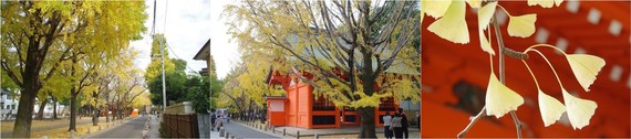 20211121_八幡神社２.jpg