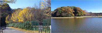 20211128_21世紀の森と広場.jpg