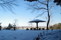20220108_ZV.JPG