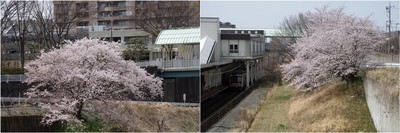 20220402_白井駅.jpg