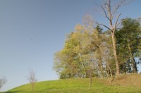 20220410_AfZ.JPG