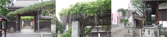 20220429_佛法寺.jpg