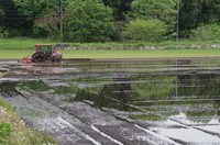 20220429_折立橋の袂.JPG