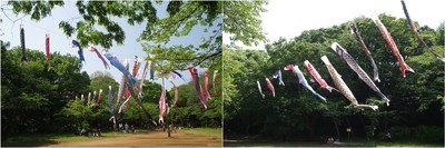 20220504_貝柄山公園.jpg