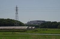 20220529_亀成川から南を見る.JPG