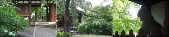 20220619_東漸寺.jpg