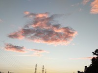 20220901_Ă.JPG