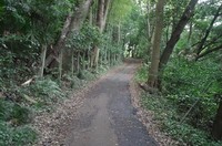 20221016_鎌ヶ谷の林.JPG