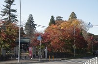 20221119_逆井の観音寺前.JPG