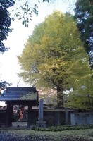 20221127_y˂̐֎.JPG