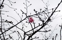 20230121_JsO.JPG