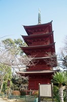 20230212_五重の塔.JPG