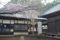 20230319_西輪寺の桜.JPG