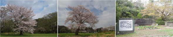 20230329_q隬.jpg