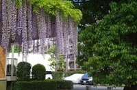 20230429_cn̓.JPG