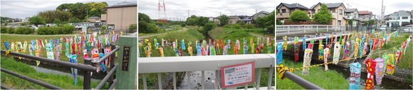 20230501_二重川の鯉幟.jpg