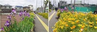 20230501_鎌ヶ谷駅東通り.jpg