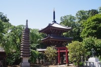 20230503_s.JPG