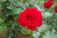 20230513_t.JPG