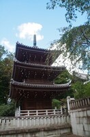 20230903_s.JPG