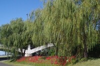 20231007_勴.JPG