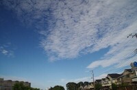 20231007_H.JPG