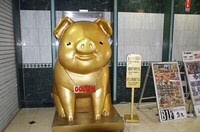 20231008_GOLTON.JPG