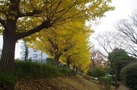 20231118_Xc.JPG