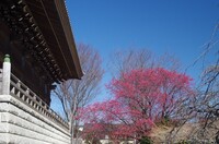 20240309_s{.JPG