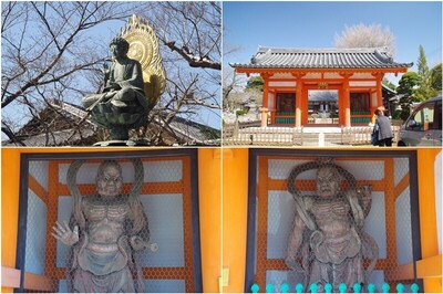 20240320_国分寺.jpg