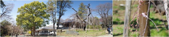 20240320_弘法寺.jpg
