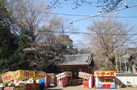 20240331_sR.JPG