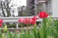 20240407_`[bv.JPG