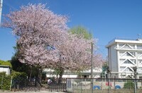 20240414_䏬̂.JPG
