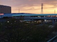 20240416_.JPG
