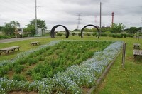20240430_ӂ邳ƌ.JPG