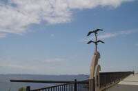 20240525_l勴.JPG