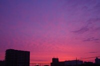 20240526_Ă.JPG