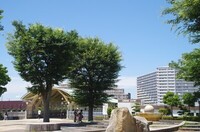 20240615_wO.JPG