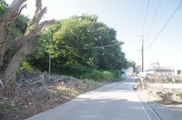 20241013_分岐6.JPG