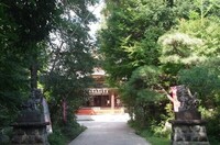 20241013_道野辺八幡宮.JPG