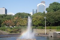 20241103_.JPG