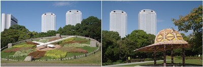 20241103_WBG.jpg