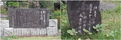 20241110_e̕敶w.jpg