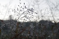 20241117_I.JPG