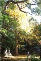20241207_QC`E.jpg