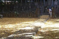 20241207_QC`Ẻ.JPG