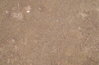 20250112_A.JPG