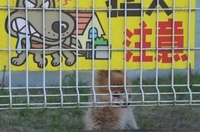 20250227_WAN.JPG