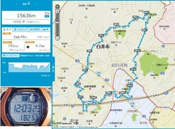 20250301_市内.jpg